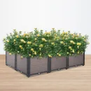 visualization_of_a_cultivation_box_with_flowers_6402.webp