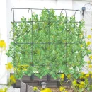 visualization_of_a_cultivation_box_with_plants_and_a_rounded_stand_cecb-v-RyeRRSS.webp