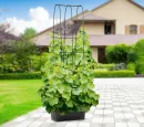 doniczka_stojak_cucu_grow_box_60x30x178_aranzacja_954b.webp