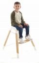 Wooddy6220ModGr.jpg