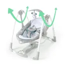 --RyeRSRRRyo-INGENUITY-Swing-2-Seat-Nash-2RI11.webp