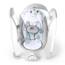 --RyeRSRRRyo-INGENUITY-Swing-2-Seat-Nash-2RI20.webp