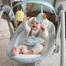 --RyeRSRRRyo-INGENUITY-Swingn-Go-Hugs--Hoots5.webp