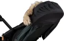 496024659.webp