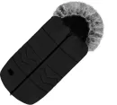 Black Carbon