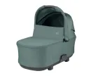 PACK-000088-00000-4.webp
