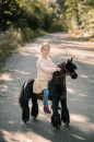 RIRSSRRIRS-RRSRRS-Ponnie-Ebony-M3.jpg