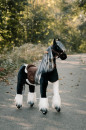 867005f0b2a7f51a105a9a26f8d399c2-pferd-auf-rollen-ponnie-domino-m.jpg