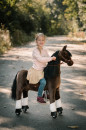 05f00558a3eaf05ce100b87ec4a95a7d-rollpferd-von-ponnie-happy-m.jpg