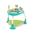Bounce Bounce Baby Playful Pond