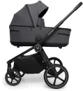 Iron Graphite
