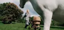 Bugaboo-Fox5-Renew-komplet-Stella-Tabacco-Brown-1.webp