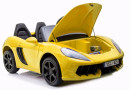 pol_pl_Auto-na-akumulator-YSA0-4.jpg