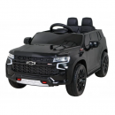
PA.HL588.CZ black