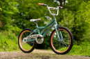 huffy-rower-so-swe-3.jpg