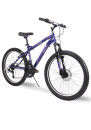 huffy-r-4.jpg