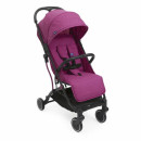 Aurora Pink