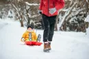 Hornet_ISRHOR_1788C_2022_aranz_01.webp