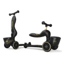 black/gold