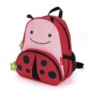  Ladybug
