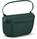 Fern Green