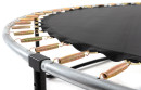 pol_pl_Trampolina-Ogrodowa-Premium-dla-dzieci-252cm-8FT-z-Siatka-Wewnetrzna-i-Drabinka-3421_3-1.jpg